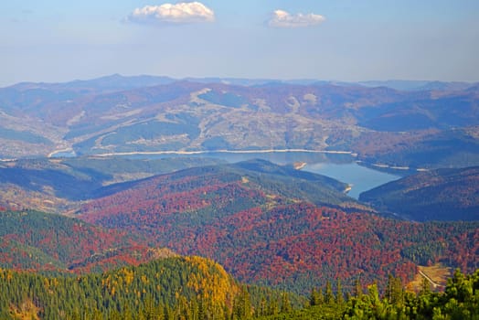 Aerial view of autumn forest  and lake, colorful forest trees on mountain