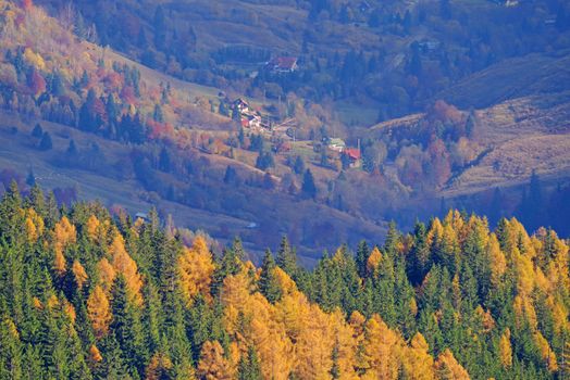 Autumn trees and village scene behind in Romanian Carpathians.