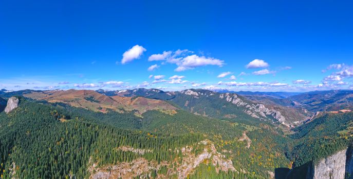 Aerial view of autumn forest and rocky mountain in a beautiful day