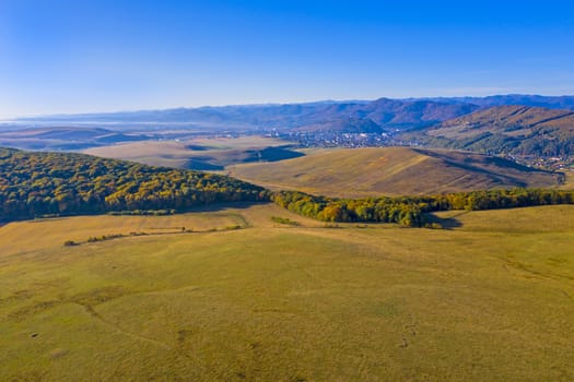 Aerial autumn landscape in rural area: colored pasture and forest trees