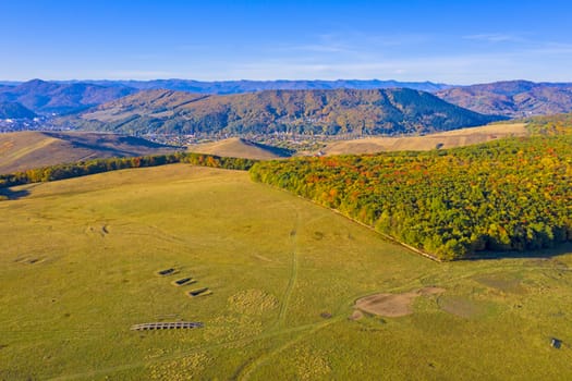 Aerial autumn landscape in rural area: colored pasture and forest trees