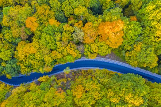 Aerial view of the road in fall forest, autumn travel