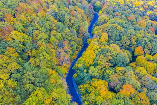 Fall forest road, aerial view of autumn trees and road