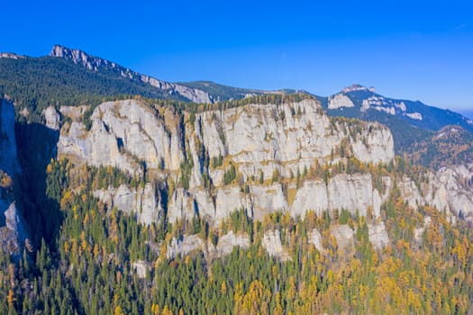 Late autumn landscape, coniferous forest on rocky mountain, Romanian Carpathians