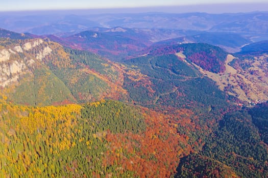 Aerial view of autumn forest in Romanian Carpathians