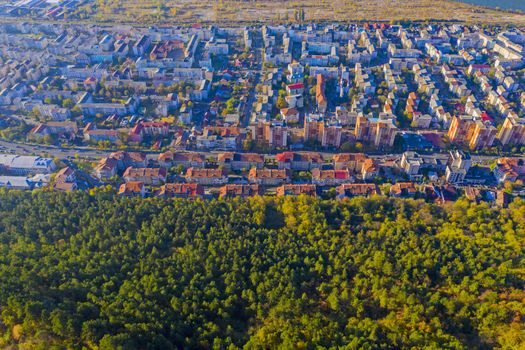 Above view of residential buildings near autumn forest, Piatra Neamt city