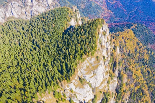 Rock mountain and autumn forest trees viewed from above in Romanian Carpathians.