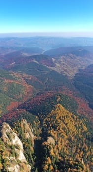 Aerial view of autumn forest trees and mountain rock in Romanian Carpathians.