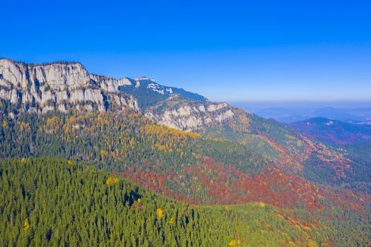 Beautiful mountain forest in Romanian Carpathians, autumn landscape with blue sky