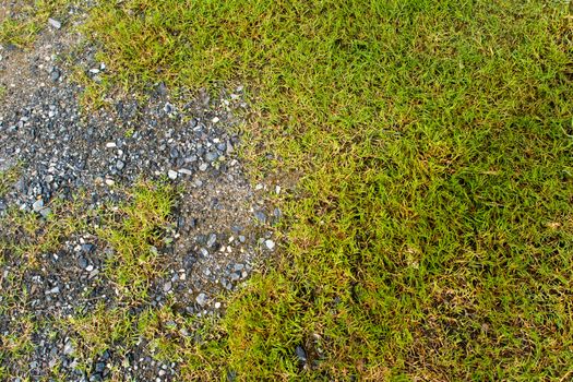 Texture of Crushed stone and grass