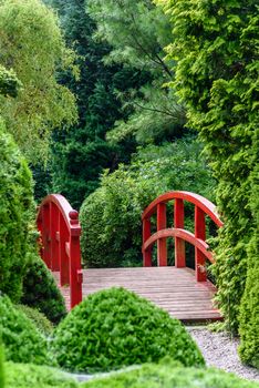 Beautiful Japanese garden with red wooden bridge among green trees