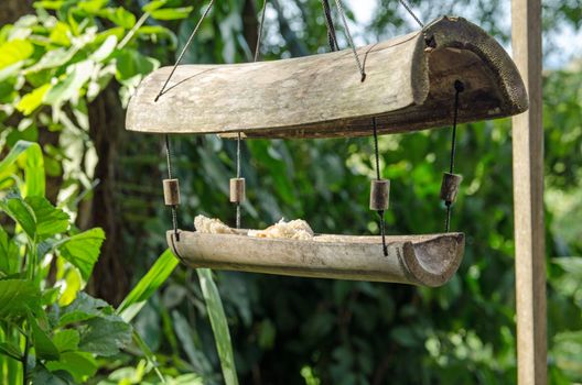 Birdfeeder made out of bamboo stems with some bread to attract the local wildlife.  Garden in Tobago.