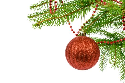 Shining red Christmas ball hanging from a branch of a Christmas tree isolated on a white background with copy space place.