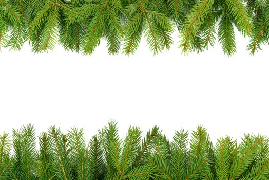 Mock up with Christmas Tree or New Year Border. Spruce twigs stacked in a row on a white background (high details).