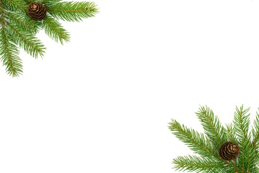 Christmas tree green framework with spruce brunches and cones  isolated on white background.