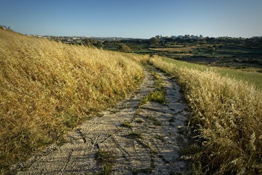 Countryside lane on the outskirts of Rabat in Malta