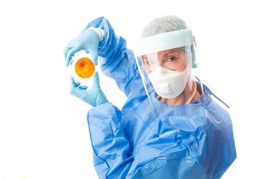 Pathology sceintist in biosecurity suit and PPE holds up a petri dish with cultured bacteria or viruses