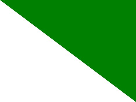 The flag of the Russian region of Siberia in white and green