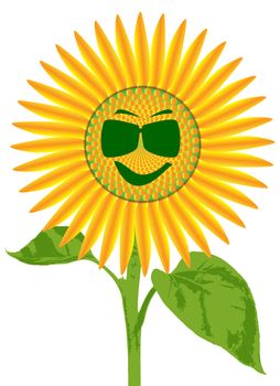 The head of a large sunflower plant isolated on a white background with a smiley face with sun glasses