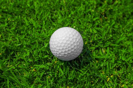 Golf ball on green grass of golf course top view