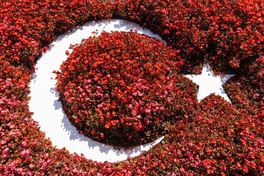 Turkish flag made of red flowers.