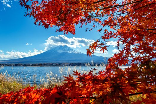 Fuji mountain and Kawaguchiko lake in autumn, Japan.