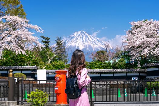 Tourist looking at Fuji mountain and cherry blossom in spring, Fujinomiya in Japan.