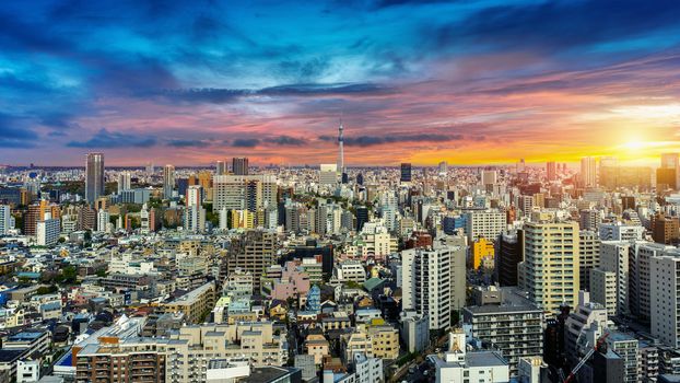Panorama of Tokyo cityscape at sunset in Japan.