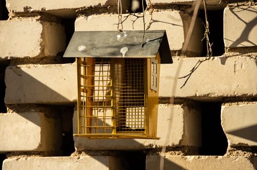 Yellow bird feeder at the brick wall, birds