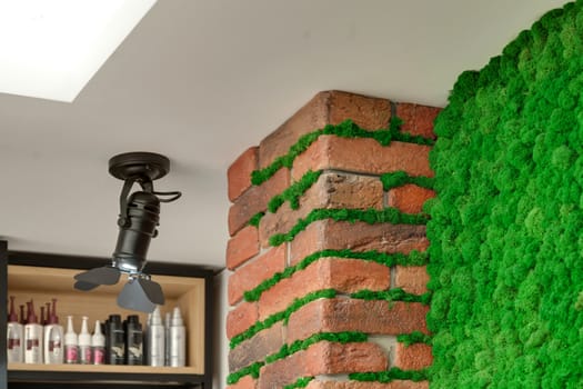 Brick wall with decorative green moss and a shelving in the background