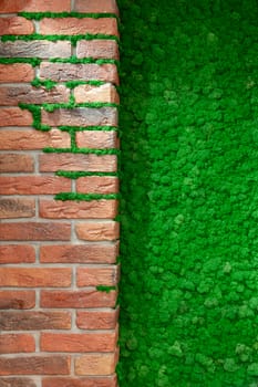 Brick wall with decorative green moss close-up. Decorative floral background.