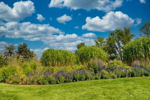 Nice green landscaped garden with lush lawn