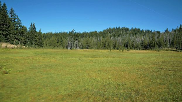 Aerial Flying Low Over Meadow