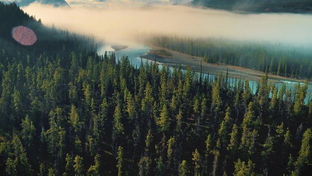 Jasper National Park. River, Trees, sky clouds, mountain in image.