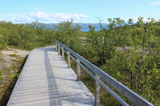 Overview of Hikers trail through forest in abisko national park, northern sweden