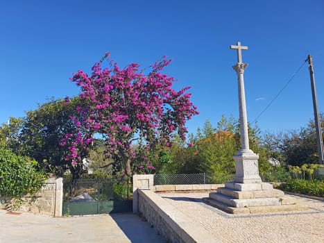 Portuguese village landscape: cross monument and exotic plants