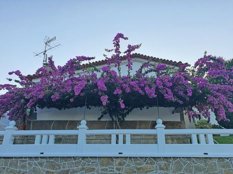 Beautiful decorated home with flowers in Spain