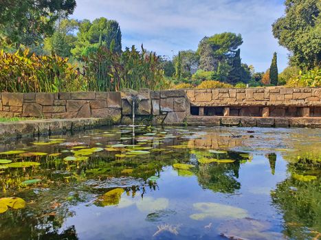Aquatic plants in Mossen Cinto Verdaguer Gardens on Monjuic mountain, important landmark in Barcelona