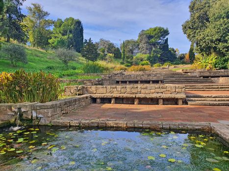 Aquatic plants in Mossen Cinto Verdaguer Gardens on Monjuic mountain, important landmark in Barcelona