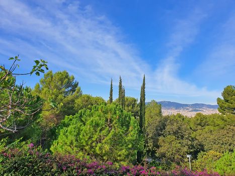 Beautiful gardens and Barcelona panorama, Joan Brossa gardens on Montjuic mountain