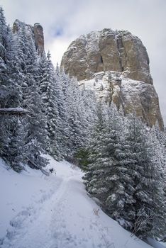 Snow path near huge rock in Romanian Carpathians, fresh snow.