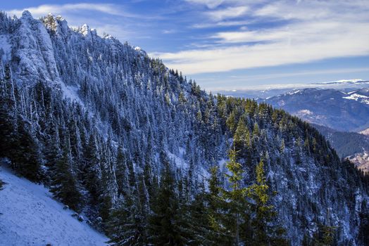 Frozen forest and rock in a mountain scene, in Romanian Carpathians.