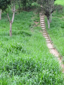 Old trail with rustic staircase going up through the woods.