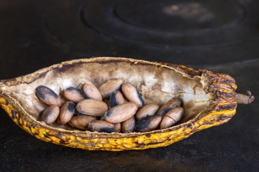 cacao beans on an old stove