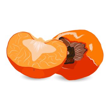Juicy sharon fruit sliced isolated on white background vector illustration. Orange persimmon whole and cut for design, banner, menu, poster, apparel.