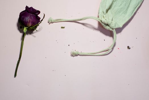 Bag and rose on a pink background