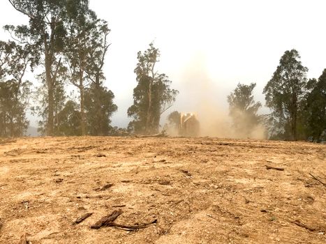 Skidder Creating a Fire Break