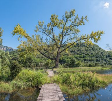 A trout dam with a wooden footbridge near Mahai