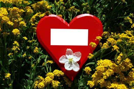The picture shows a red wooden heart with a text space in alyssum
