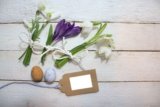 The picture shows early flowering plants and eastereggs